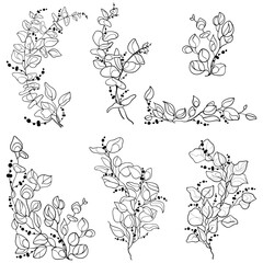 contour floral branches set