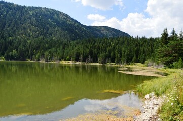 Fototapeta na wymiar natural lake on the mountain