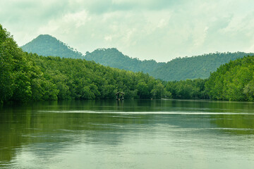 
 Mangrove forest and river and life culture Ban Nam Rap, Khao Jom Pa, Amphoe Kantang, Trang Province, Thailand