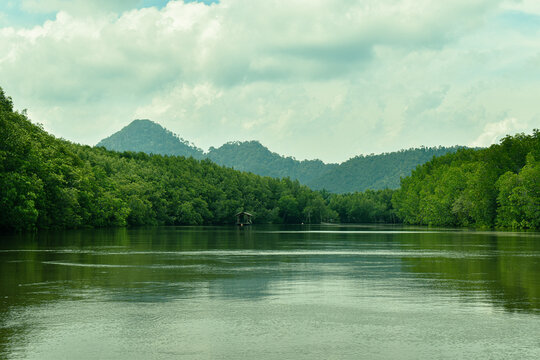 
 Mangrove forest and river and life culture Ban Nam Rap, Khao Jom Pa, Amphoe Kantang, Trang Province, Thailand