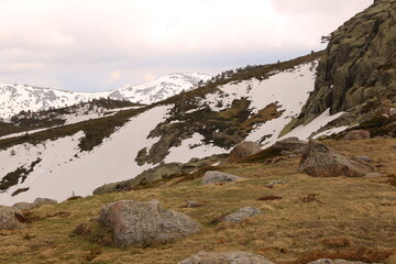 Paisaje nevado 