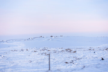 Obraz premium imagen de un paisaje de montañas nevado, con el cielo azul y los colores del atardecer 