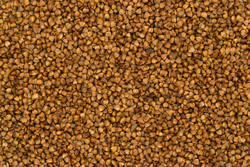 Buckwheat grain. Buckwheat background. Buckwheat texture