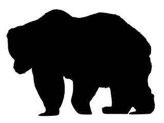 silhouette of a bear