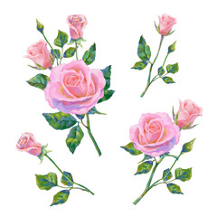 Сollection of vector high detailed realistic rose flowers on white for design. Oil or acrylic painting roses big set.