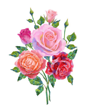 Vector bouquet of high detailed realistic rose flower on white for design. Oil or acrylic painting roses.