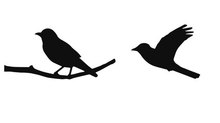 pair of birds, silhouette set