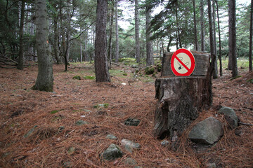 A no smoking sign has been placed on a trunk cut in the shape of a seat in the forest of the priory St Michel de Grandmont (St Privat, Hérault, Occitanie, France)