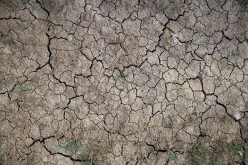 Aufgerissener  Vertrockneter Boden 
