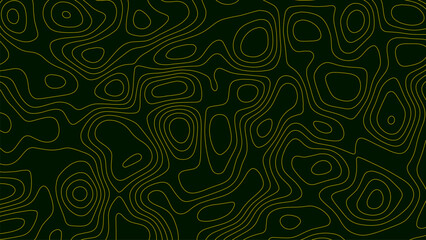 Topographic gold luxury map background. Geographic abstract pattern. The topo contour or wallpaper. Mountain trail terrain or path. Vector illustration.