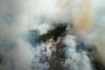 View from above of dense smoke from woodland and field on fire rising up polluting air. Concept of natural disaster