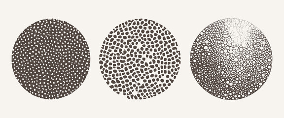 Set abstract circle elements. Rounds for graphic web design, Template for print, textile, wrapping, decoration. Spots, drops, curves, Lines. Contemporary modern trendy Vector illustration.