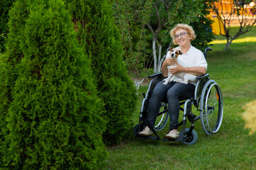 Fototapeta premium Elderly caucasian woman hugging a jack russell terrier dog while sitting in a wheelchair on a walk outdoors. 