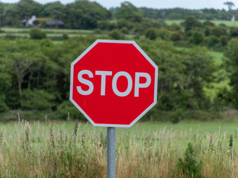 One sign with a white word stop on a red background. Road sign. Red and white stop sign