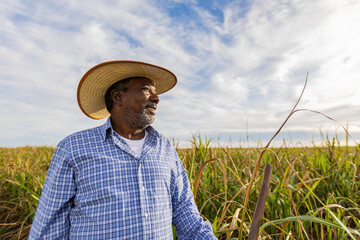 Black male farmer smiling. Brazilian farmer. Family farming. Sugar cane. Closed Plan. © UP3D STUDIO