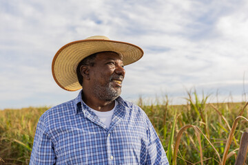 Black male farmer smiling. Brazilian farmer. Family farming. Sugar cane. Closed Plan. - obrazy, fototapety, plakaty