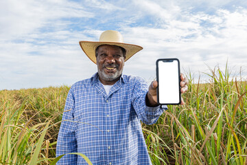 Black man Farmer smiling and showing his cell phone with a photo of the farm. Farmer celebrating. Sugar cane in the background. - obrazy, fototapety, plakaty