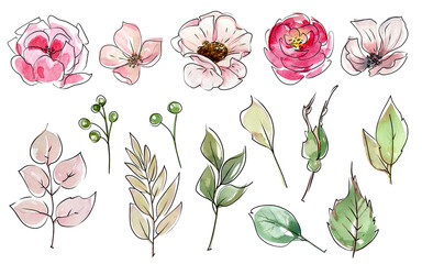 Watercolor flowers with line graphic sketches. Watercolor and sketch. Minimalistic flowers, Sketch, abstract flowers. Pink roses and green leaves.
