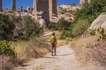 Boy tourist on background of Unique geological formations in Love Valley in Cappadocia, popular...