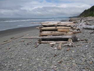 Olympic National Park - Driftwood Stacked on Kalaloch Beach