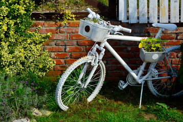 Fototapeta na wymiar wintage, drkoracja kwietnik na starym, białym rowerze, rośłiny ogrodowe i biały rower, recykling ogrodowy, kwietnik w starym rowerze 