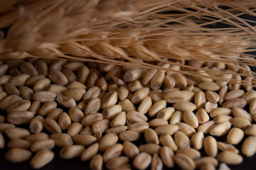 close up of a pile of beans