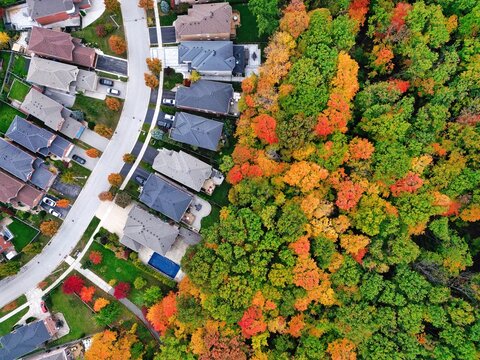 Drone Aerial View Of Residential House Neighbourhood Street With Fall Colours Trees Surrounding. Canada US Housing Market, Development And Real Estate Background. 