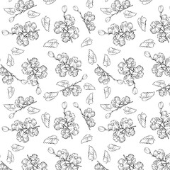 pattern with elements painted flowers, colouring book