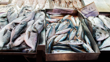 Fresh raw fish on market in Malta