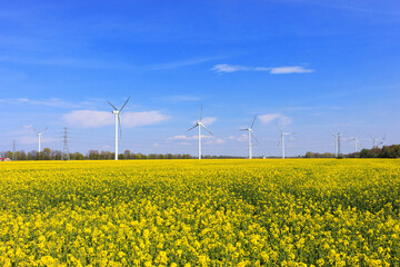 Wind turbines in the yellow field