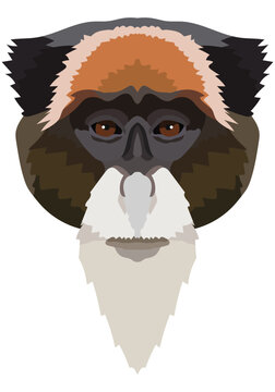 Monkey Brazza face. The muzzle of a mammal is depicted. Bright portrait on a white background. Vector graphics. animal logo.