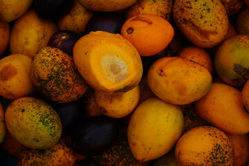Fresh tropical Amazon rainforest fruit Poraqueiba sericea species called Umari. Strongly aromatic...