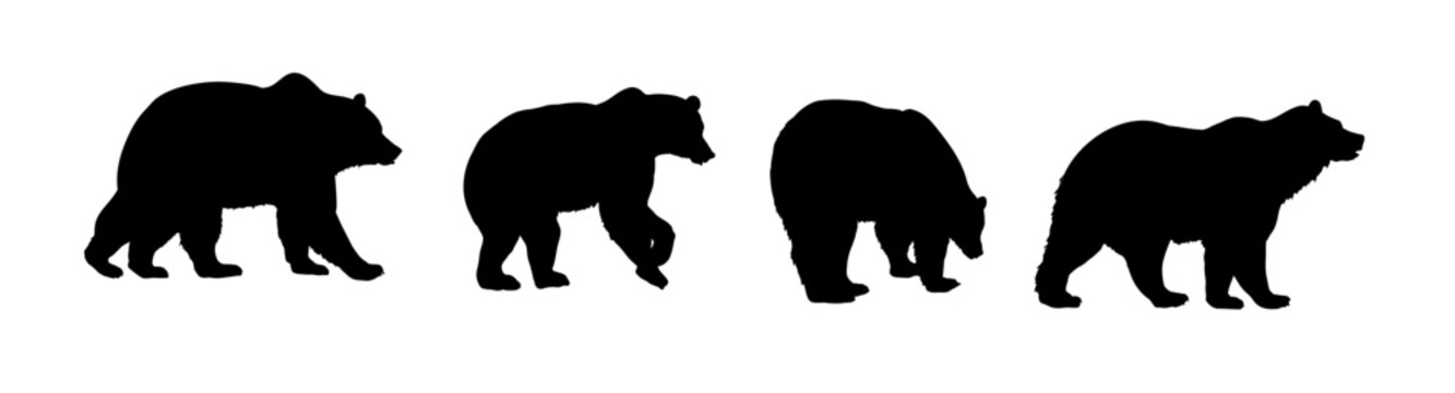 Set of silhouette of a bear