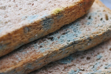  brown bread with mildew. Spoiled products