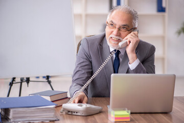 Old male employee working in the office