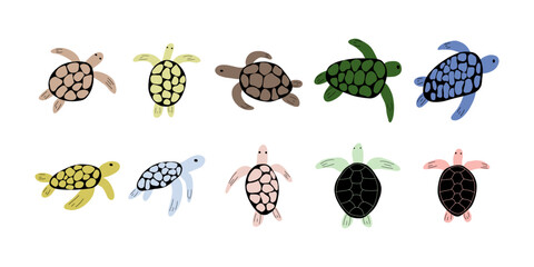 Turtle Character sea animal on deep background. Wild life illustration. Underwear world. Vector illustration.