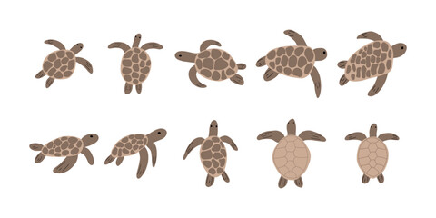 Turtle Character sea animal on deep background. Wild life illustration. Underwear world. Vector illustration.