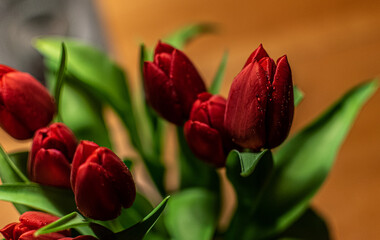 rote Tulpen