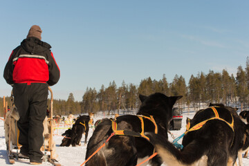 Unrecognizable person with sleigh dog rides