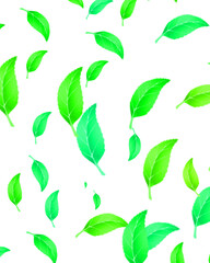 green leaves isolated on white