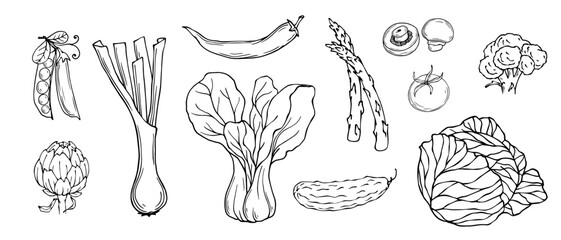 A set of sketches, coloring pages of various vegetables.Vector graphics.	
