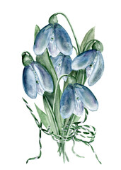 Bouquet of five snowdrops. Watercolor composition. Floral isolated illustration for your design