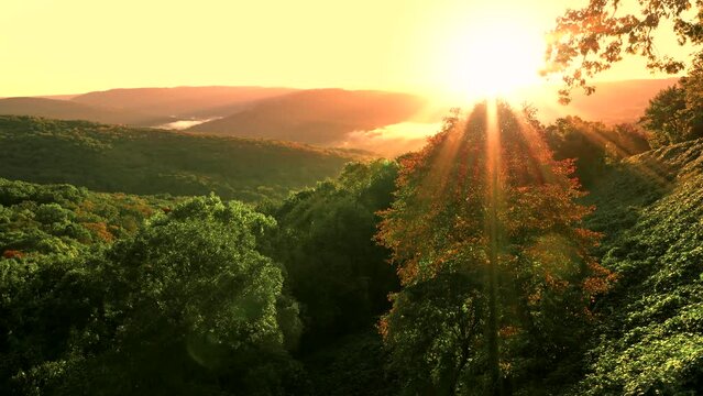 Colorful Ozark mountain scenic view sunrise over forest into a valley
