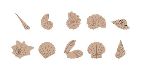 Tropical underwater seashell. Hand drawn sea mollusk shellfish element. Vector illustration in scandinavian style.