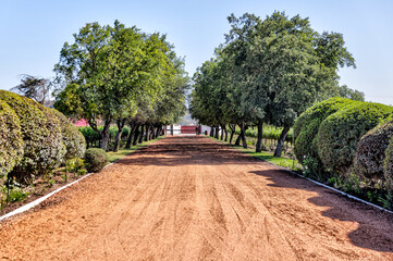 Valparaiso, Chile - January 2, 2023: Vineyards in the wine region outside of Valparaiso, Chile
