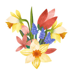 Floral composition with narcissus, muscari and tulips buds.