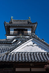 Fototapeta na wymiar 日本　高知県高知市の公園内に建つ高知城の天守閣と本丸御殿