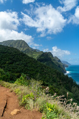Fototapeta na wymiar Beautiful view from the Kalalau Trail Trailhead in Kauai, Hawaii