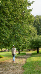 Teenager walking down a old tree avenue - Stock photo