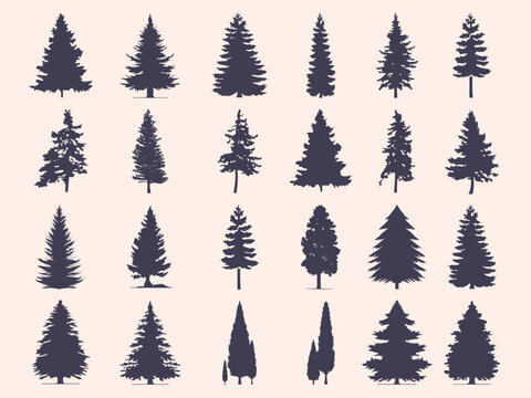 Coniferous Fir Trees Evergreen Branches Vector Set Isolated On